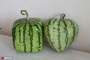 脑子不够用手游免费下载安装 