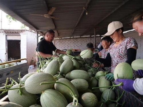小漫画基地在线免费下载 